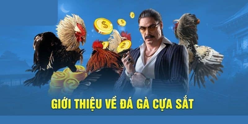 Đôi nét về hình thức đá gà cựa sắt hấp dẫn ở nhà cái New88